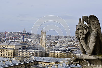 Paris roofs with a birds-eye view from Notre Dame de Paris