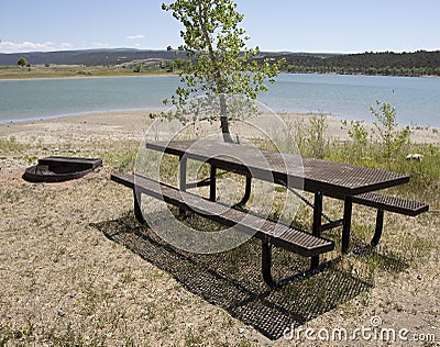 Park picnic table