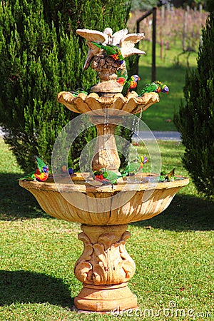 Exotic birds splash in fountain