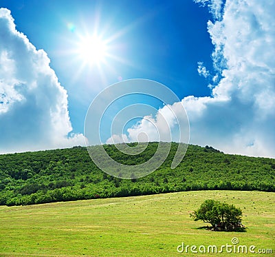 Pasture Royalty Free Stock Images - Image: 16