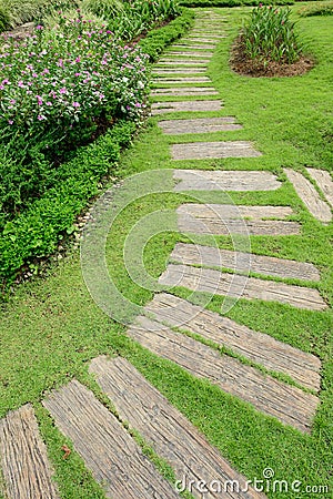 Pathway in the garden
