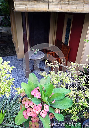 Patio furniture of a balinese garden