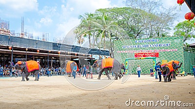 Pattaya, Thailand : Elephant dance hula hoop show.