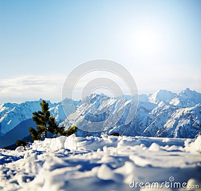 Fond neigeux de paysage de l'hiver de montagne.