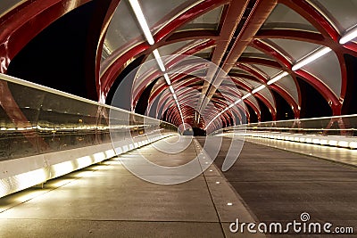 Peace bridge by night