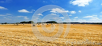 Peaceful scenery with rye fields and sky