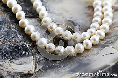 Pearl necklace, upon a fossil oyster shell