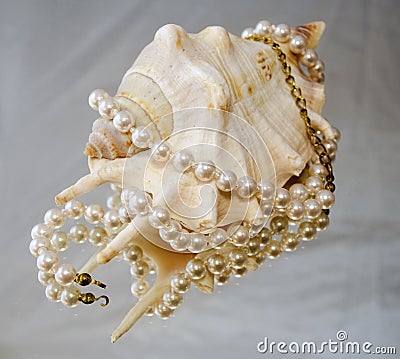 Pearl necklace on shell