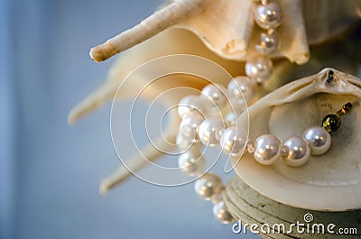 Pearl necklace and shells