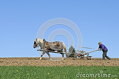 Farmer plowing with horse and plow, Germany