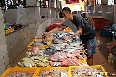 Peddler Sale Fresh fishes in market