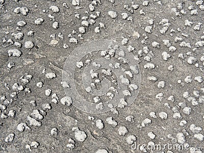 http://thumbs.dreamstime.com/x/pedras-de-trovants-que-crescem-27485644.jpg