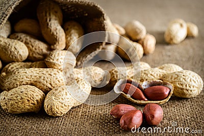 Peeled peanut on well peanuts