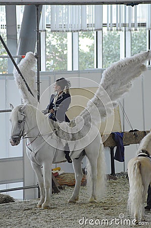 Pegasus. International Horse Show. Female rider on a white horse. White Wings