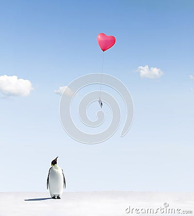 Penguin getting love letter