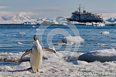 Penguin icebergs cruise ship, Antarctica