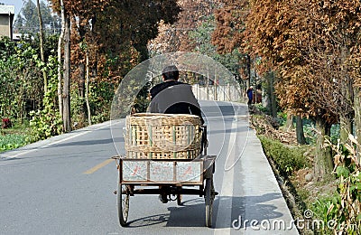 Pengzhou, China: Farmer Pedalling on Country Road