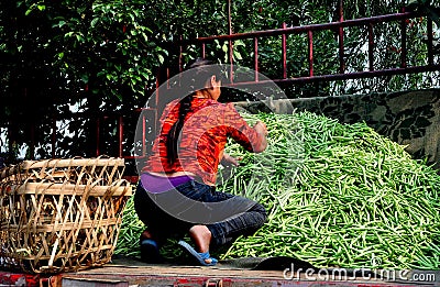 Pengzhou, China: Woman on Truck with Green Beans