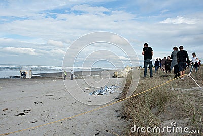 People gather on beach to view aftermath of Rena d