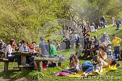 People picnicking