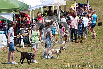 People And Their Dogs Walk Around At Dog Festival