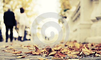 People walking in autumn park