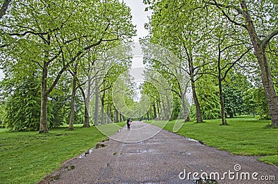 People walking in a large park with trees