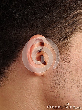 Perfect human ear