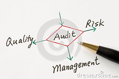 Performing an audit