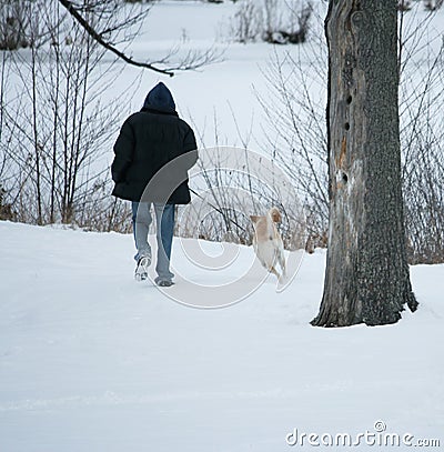 Walking dog in the snow