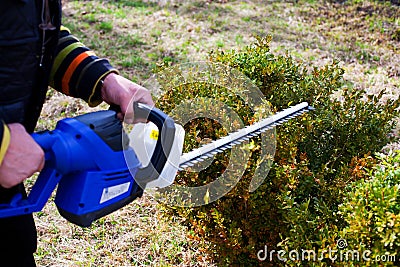 Person with hedge trimmer gardening