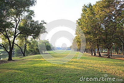 Perspective landscape view of public park with morning light