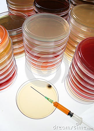 Sample abstract of research paper