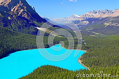 Peyto Lake Banff National Park