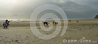 Photographer, Dogs and the Beach