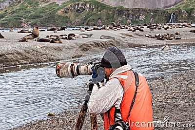 Photographer and fur seals