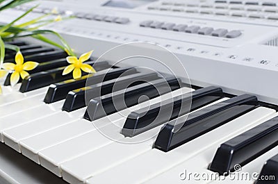 Piano sheet music flowers