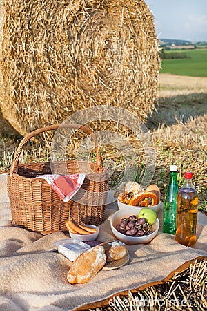 Picnic basket and different food and drinks on straw field