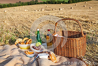 Picnic basket and different food and drinks on straw field