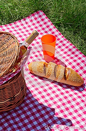 Picnic basket with wine bottle