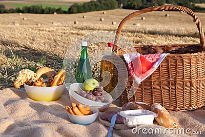 Picnic basket wit food and drinks on field