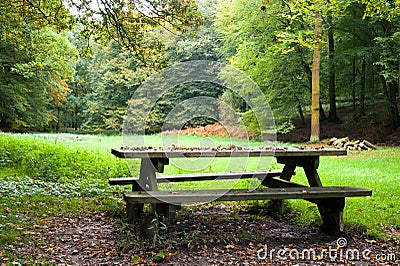 Picnic place