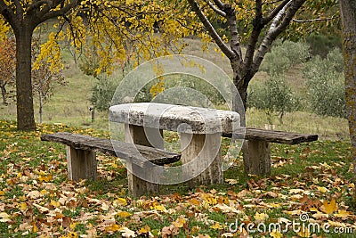 Picnic place in a forest