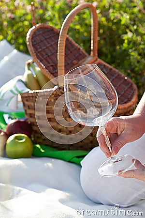 Picnic in sunny summer day