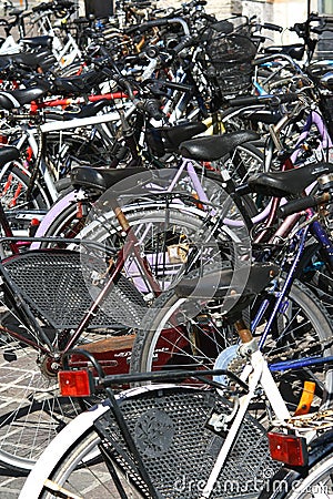 Picture of bicycles parking lot