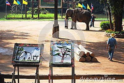 Picture draw by Elephants