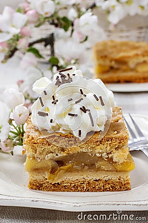 Piece of apple cake with whipped cream