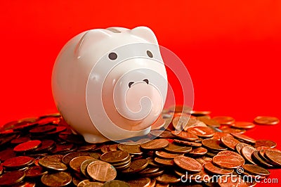 Piggy Bank on Red
