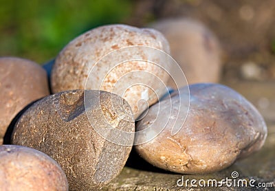 Pile of smooth stones in warm morning light