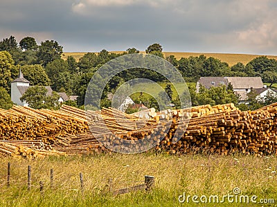 Piles Of Wood Timber Trunks At A Lumber Yard In Germany Stock Photo 